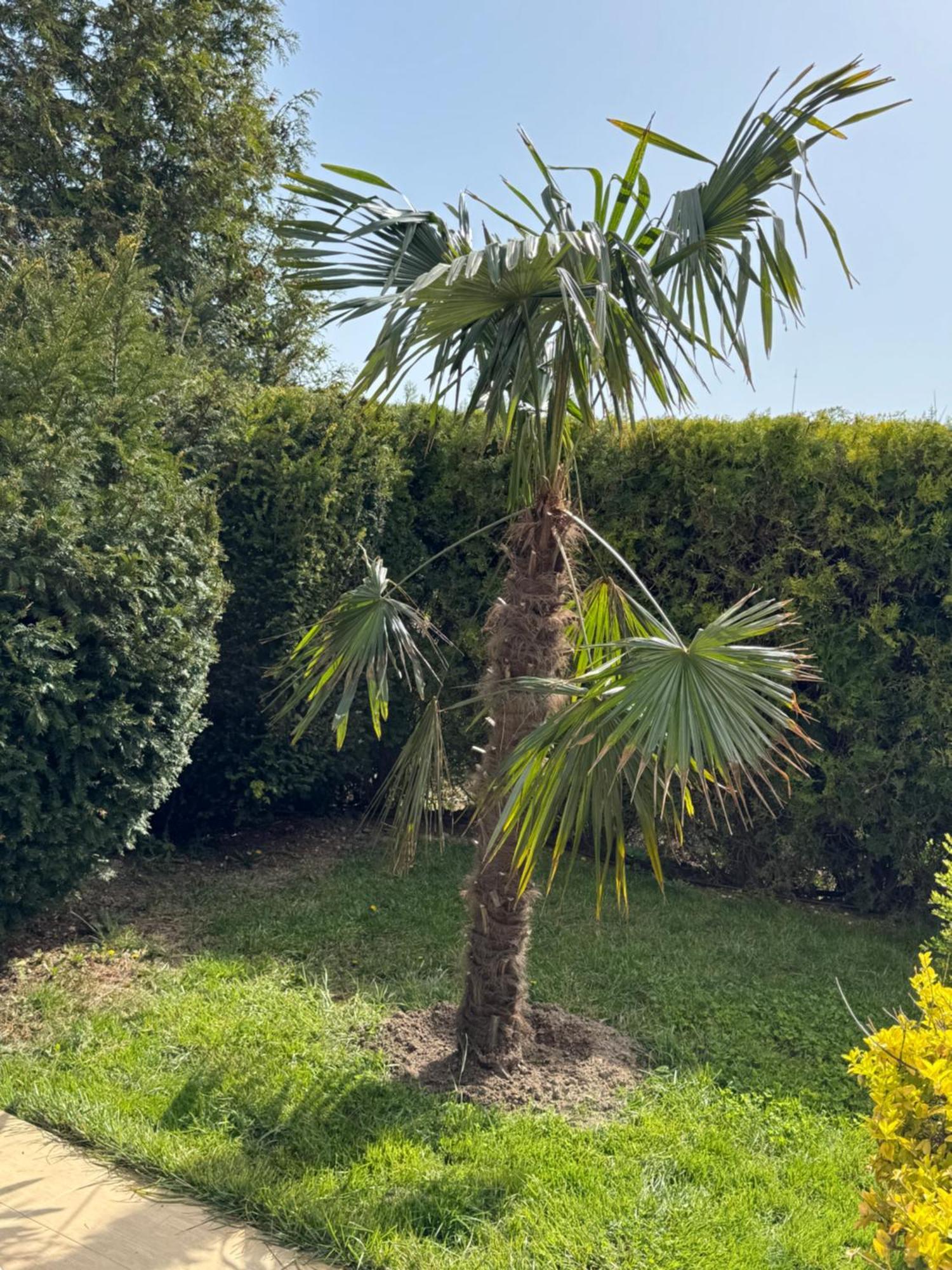 Villa Holiday Balcsik Kültér fotó